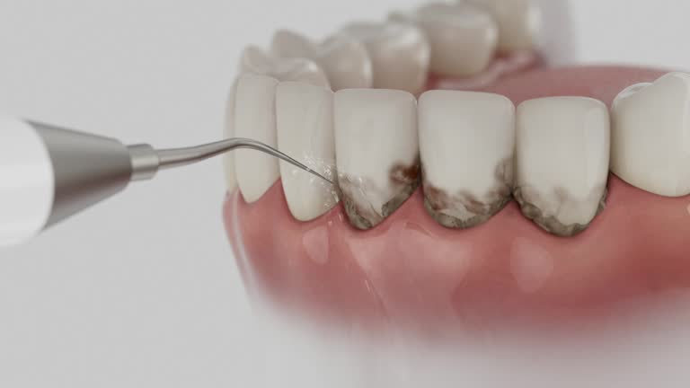 Reliable Dental contractor in St. James, NC by Dentist Open Now